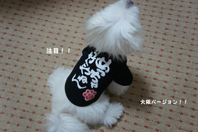 DSC02605.jpg