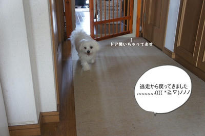 DSC02630.jpg