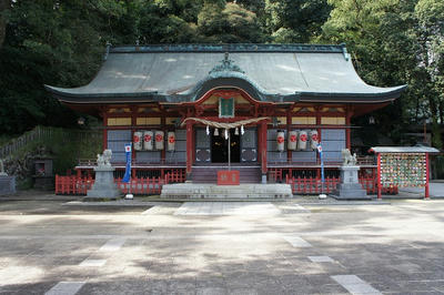 DSC03250.jpg