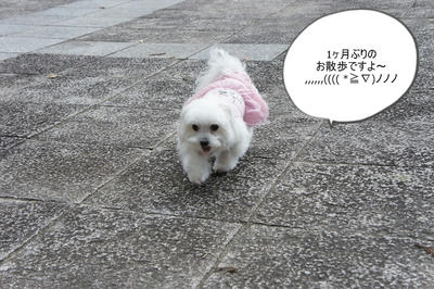 DSC03207.jpg