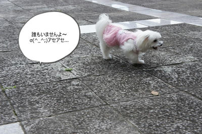 DSC03219.jpg