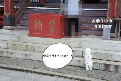 DSC03247.jpg