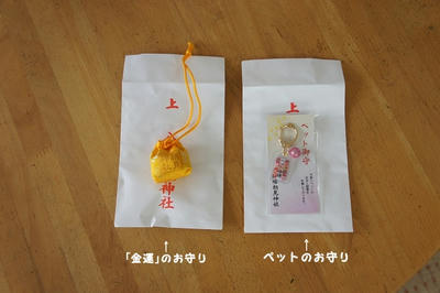 DSC03254.jpg