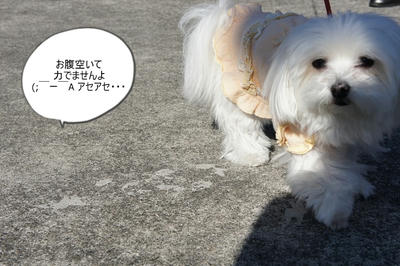 DSC03426.jpg