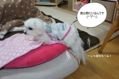 DSC03592.jpg