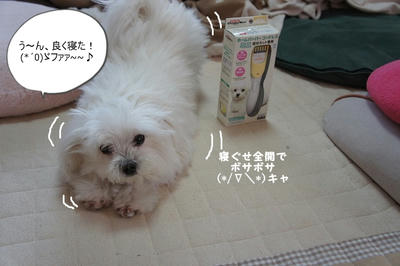 DSC05016.jpg