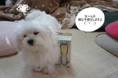 DSC05022.jpg