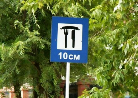 10cm.jpg