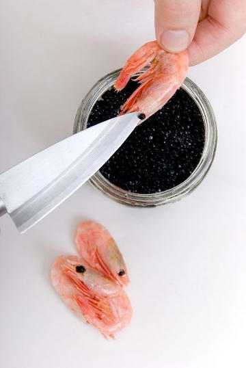 The-Truth-of-Caviar.jpg