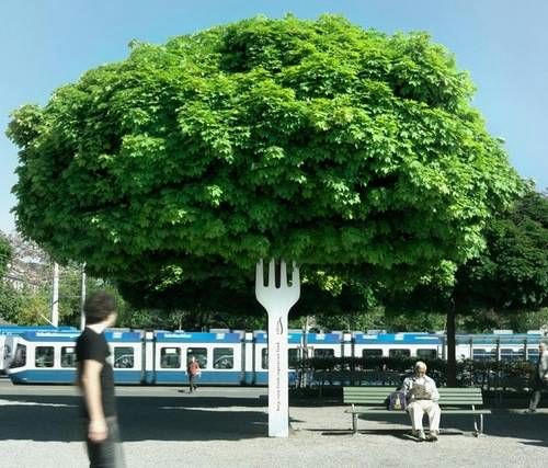 broccoli-tree.jpg