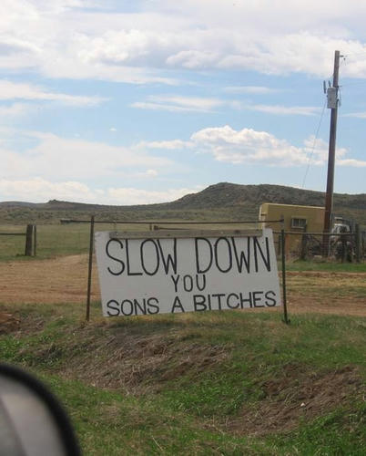 slow-down-you-sons-a-bitch.jpg