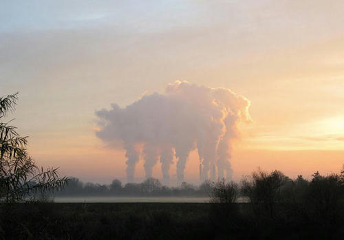 pig-shaped-smoke.jpg