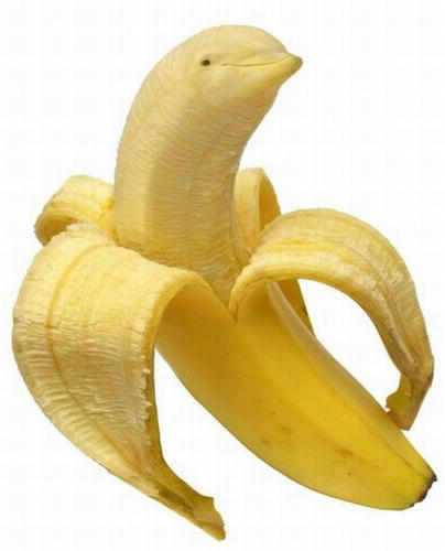 dolphin-head-banana.jpg