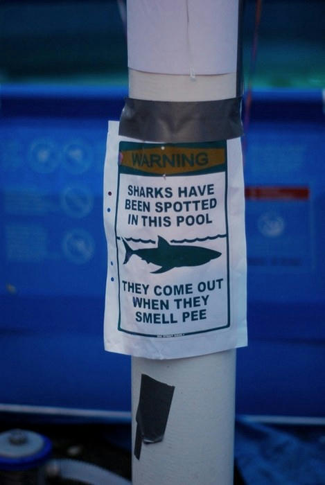sharks-will-come-out.jpg