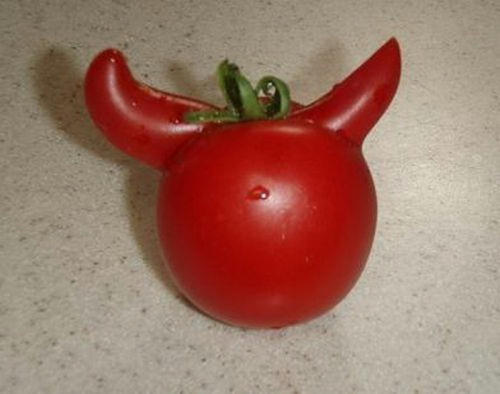 evil-tomato.jpg