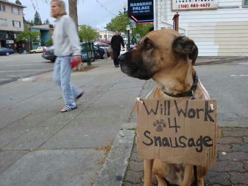 a-dog-will-work-for-sausage.jpg
