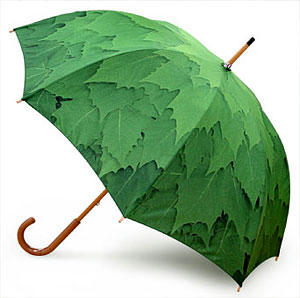 green-umbrella.jpg