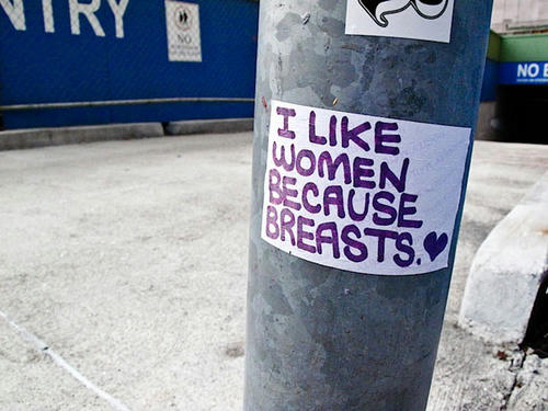 i-like-women-because-breasts.jpg