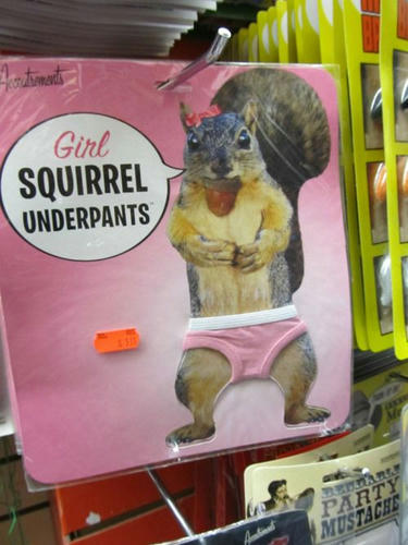 squirrel-underwear.jpg