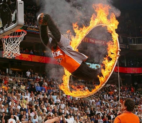gorilla-fire-dunk.jpg