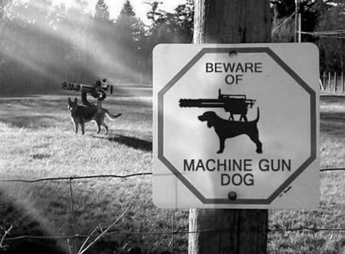 beware-of-machinegun-dog.jpg
