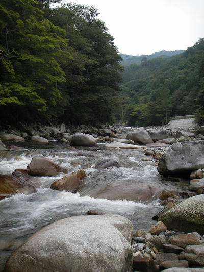 IMGP1305.jpg