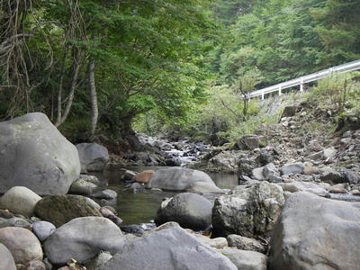 IMGP1308.jpg