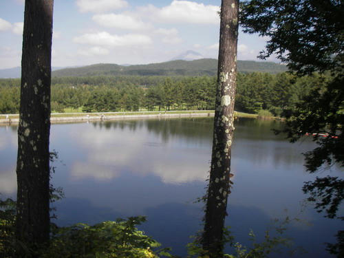 IMGP1345.jpg