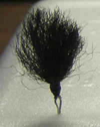 IMGP135.jpg