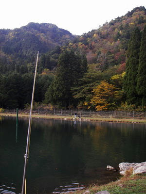 IMGP1410.jpg