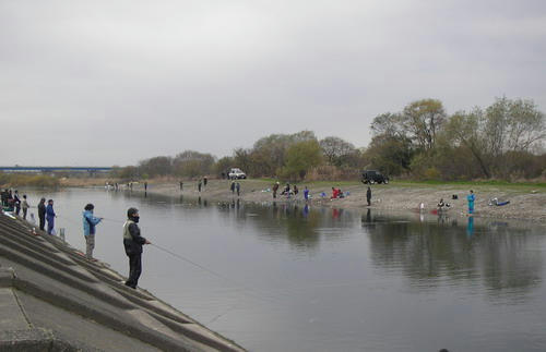 IMGP1529.jpg