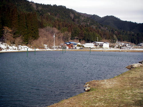 IMGP1598.jpg