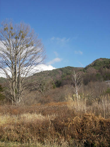 IMGP2896.jpg