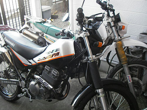 IMGP3094.JPG