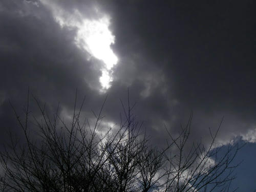 IMGP3141.jpg