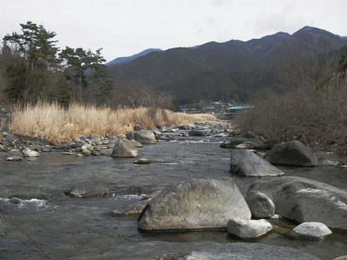 IMGP3208.jpg