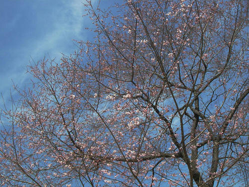 IMGP3214.jpg