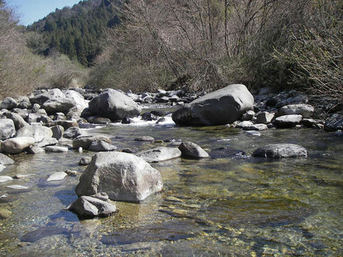 IMGP3229.jpg