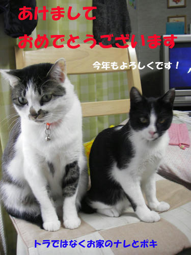IMGP3675.jpg