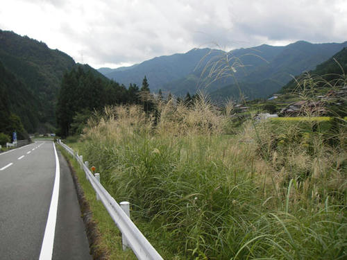 IMGP2627.jpg