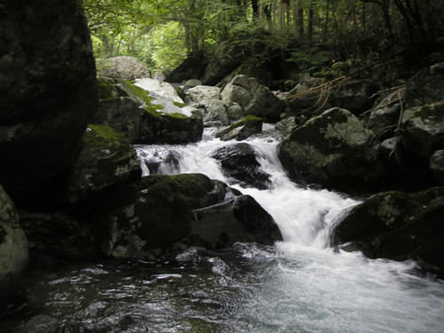 IMGP2626.jpg