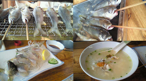 gousei-2.jpg