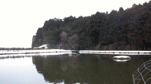 NEC_0048.jpg