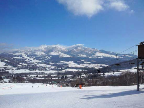 NEC_0052.jpg