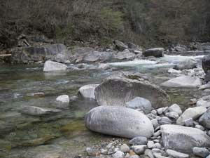 IMGP2919.jpg