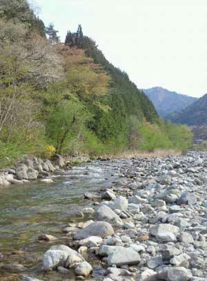 NEC_0055.jpg