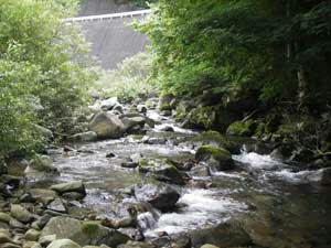 IMGP3064.jpg