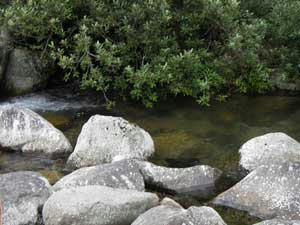 IMGP3075.jpg