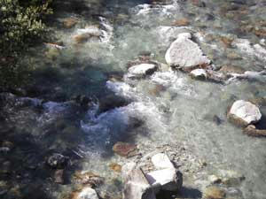 IMGP3182.jpg