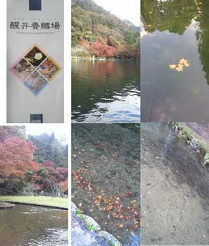 65315d7a.jpeg